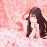 ヒメ日記 2026/04/09 12:05 投稿 ぽむ 宮崎SANSAIN