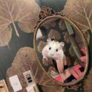 ヒメ日記 2025/05/30 20:49 投稿 AKARI『アカリ』 GG