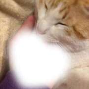 ヒメ日記 2026/03/30 23:49 投稿 AKARI『アカリ』 GG