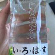 ヒメ日記 2025/04/29 14:37 投稿 くるみ 長野飯田ちゃんこ
