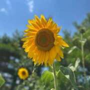 ヒメ日記 2025/08/09 19:21 投稿 くるみ 長野飯田ちゃんこ