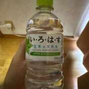 ヒメ日記 2025/08/20 17:51 投稿 くるみ 長野飯田ちゃんこ