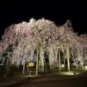 ヒメ日記 2026/03/27 23:51 投稿 くるみ 長野飯田ちゃんこ