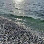 ヒメ日記 2026/04/21 11:21 投稿 くるみ 長野飯田ちゃんこ