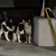 ヒメ日記 2025/07/21 11:18 投稿 なつき（極上SPコース対応） EIGHT（エイト）～8つのお約束と無限の可能性～