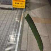 ヒメ日記 2025/09/10 13:58 投稿 なつき（極上SPコース対応） EIGHT（エイト）～8つのお約束と無限の可能性～