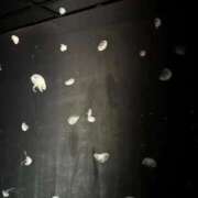 ヒメ日記 2025/11/26 10:58 投稿 なつき（極上SPコース対応） EIGHT（エイト）～8つのお約束と無限の可能性～