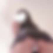 ヒメ日記 2026/02/06 14:29 投稿 れんか かりんと大久保・新大久保