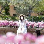 ヒメ日記 2025/06/28 10:27 投稿 もあ 名古屋痴女性感フェチ倶楽部