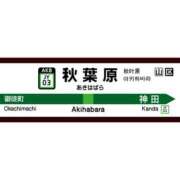 ヒメ日記 2025/09/17 13:03 投稿 伊藤ひびき 麗しいマダム