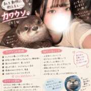 ヒメ日記 2026/10/08 23:25 投稿 のいる 新宿サンキュー