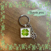 ヒメ日記 2026/01/28 23:03 投稿 よつば ぼいんWORK