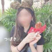 ヒメ日記 2025/04/15 14:24 投稿 つばき チューリップ福井本館