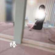 ヒメ日記 2025/04/19 20:16 投稿 つばき チューリップ福井本館