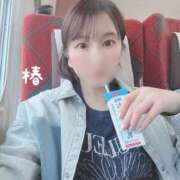 ヒメ日記 2025/04/21 06:34 投稿 つばき チューリップ福井本館