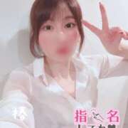 ヒメ日記 2025/04/21 09:10 投稿 つばき チューリップ福井本館