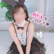 ヒメ日記 2025/05/20 01:54 投稿 つばき チューリップ福井本館