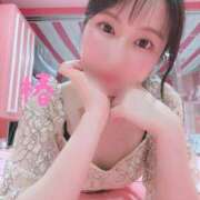 ヒメ日記 2025/05/22 23:34 投稿 つばき チューリップ福井本館