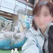 ヒメ日記 2025/05/25 09:18 投稿 つばき チューリップ福井本館