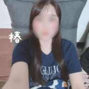 ヒメ日記 2025/05/26 21:21 投稿 つばき チューリップ福井本館