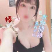 ヒメ日記 2025/07/15 12:24 投稿 つばき チューリップ福井本館