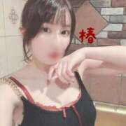 ヒメ日記 2025/07/16 21:54 投稿 つばき チューリップ福井本館