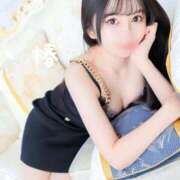 ヒメ日記 2025/08/19 06:14 投稿 つばき チューリップ福井本館