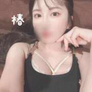 ヒメ日記 2025/08/26 11:11 投稿 つばき チューリップ福井本館