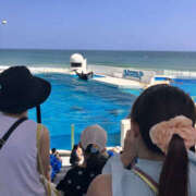 ヒメ日記 2025/08/26 10:10 投稿 あさひ 奥鉄オクテツ東京店（デリヘル市場）