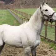 ヒメ日記 2025/12/13 19:55 投稿 あさひ 奥鉄オクテツ東京店（デリヘル市場）