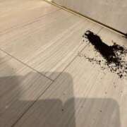 ヒメ日記 2025/12/26 11:10 投稿 あさひ 奥鉄オクテツ東京店（デリヘル市場）