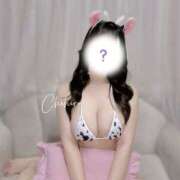 ヒメ日記 2025/06/20 11:38 投稿 ちひろ Femme Fatale（ファムファタール）