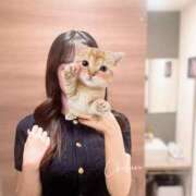 ヒメ日記 2025/09/25 12:18 投稿 ちひろ Femme Fatale（ファムファタール）