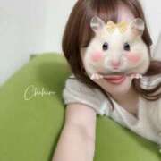 ヒメ日記 2025/10/15 12:58 投稿 ちひろ Femme Fatale（ファムファタール）