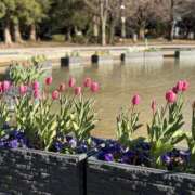 ヒメ日記 2025/12/17 23:55 投稿 さな 奥鉄オクテツ神奈川店（デリヘル市場グループ）