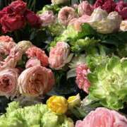 ヒメ日記 2025/12/21 10:15 投稿 さな 奥鉄オクテツ神奈川店（デリヘル市場グループ）