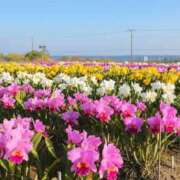 ヒメ日記 2026/01/13 11:35 投稿 さな 奥鉄オクテツ神奈川店（デリヘル市場グループ）