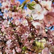 ヒメ日記 2026/02/22 21:05 投稿 さな 奥鉄オクテツ神奈川店（デリヘル市場グループ）