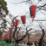 ヒメ日記 2026/03/22 16:15 投稿 さな 奥鉄オクテツ神奈川店（デリヘル市場グループ）