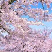 ヒメ日記 2026/04/09 00:00 投稿 さな 奥鉄オクテツ神奈川店（デリヘル市場グループ）