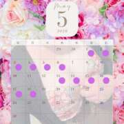 さな 出勤予定 奥鉄オクテツ神奈川店（デリヘル市場グループ）