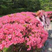 ヒメ日記 2025/06/02 13:43 投稿 神田あやか ミスターダンディー