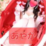 ヒメ日記 2025/06/13 06:13 投稿 神田あやか ミスターダンディー