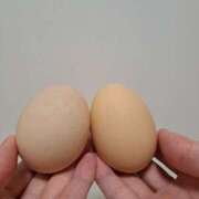 ヒメ日記 2025/07/01 08:13 投稿 神田あやか ミスターダンディー