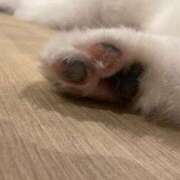 ヒメ日記 2025/07/20 08:14 投稿 神田あやか ミスターダンディー