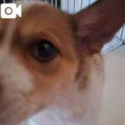 ヒメ日記 2025/07/27 20:11 投稿 神田あやか ミスターダンディー