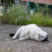 ヒメ日記 2025/08/02 17:23 投稿 神田あやか ミスターダンディー