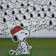 ヒメ日記 2025/08/22 11:33 投稿 神田あやか ミスターダンディー