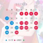 ヒメ日記 2025/08/27 19:39 投稿 神田あやか ミスターダンディー