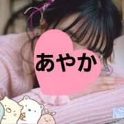 ヒメ日記 2025/10/11 17:13 投稿 神田あやか ミスターダンディー